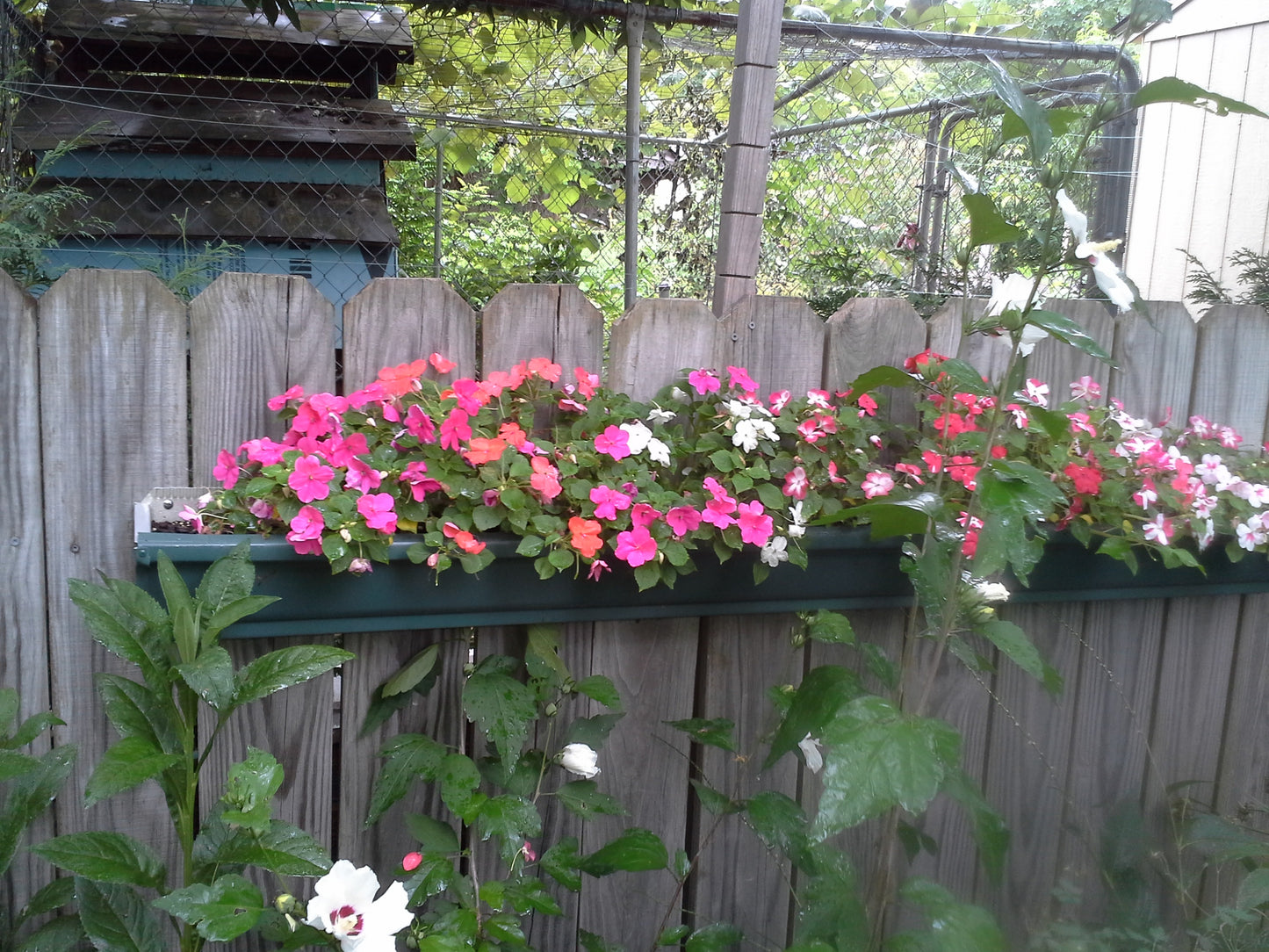 Deck and Balcony Planters