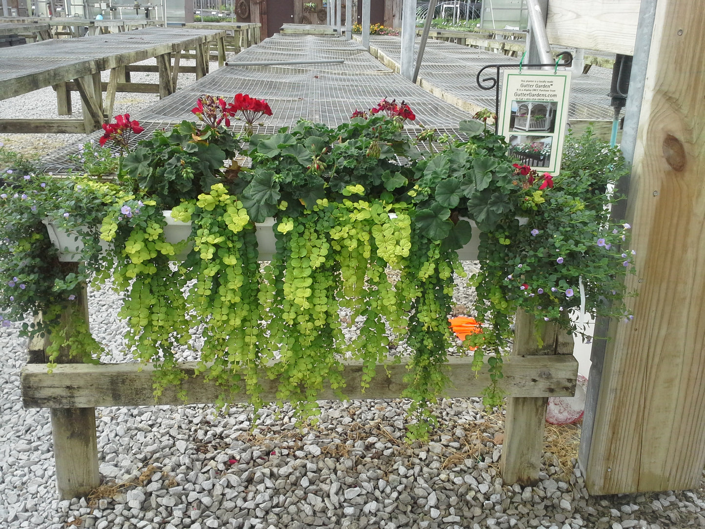 Deck and Balcony Planters