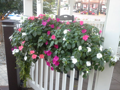 Deck and Balcony Planters