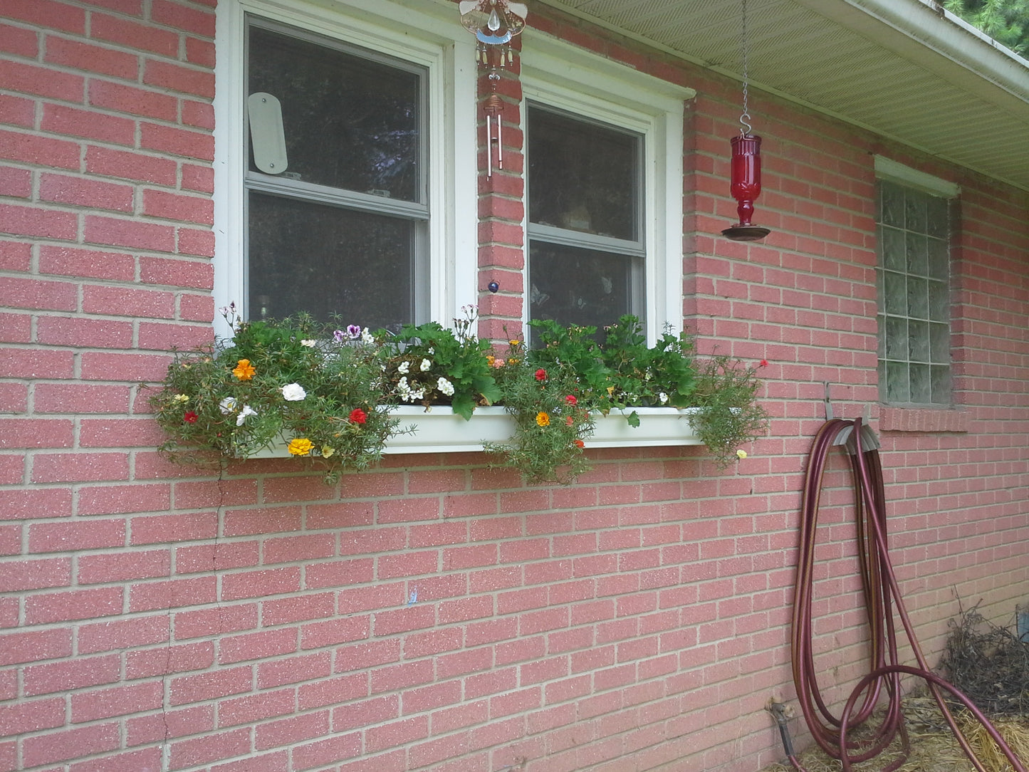 Window Boxes