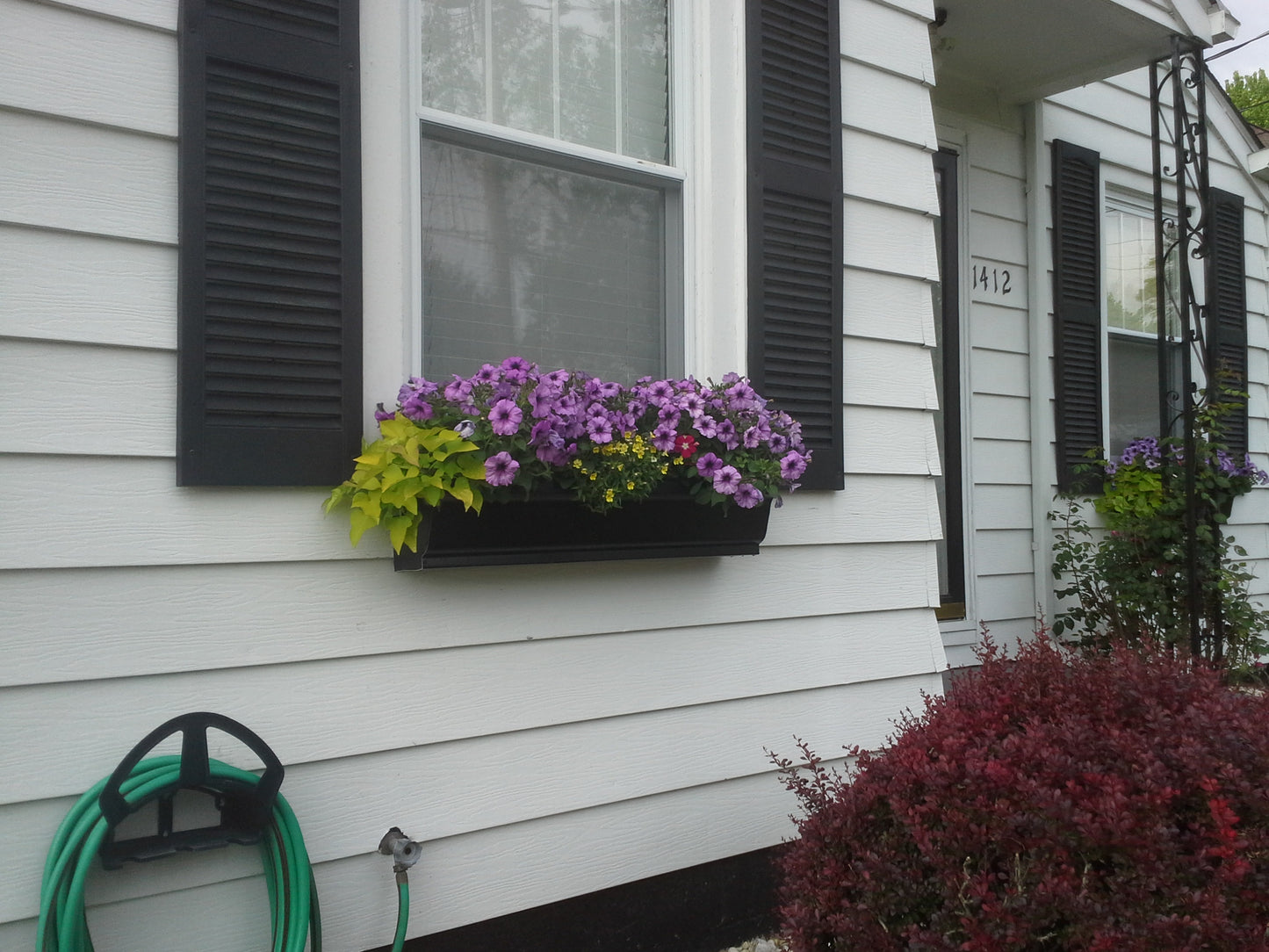 Window Boxes