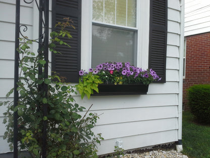 Window Boxes