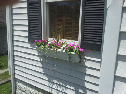 Window Boxes