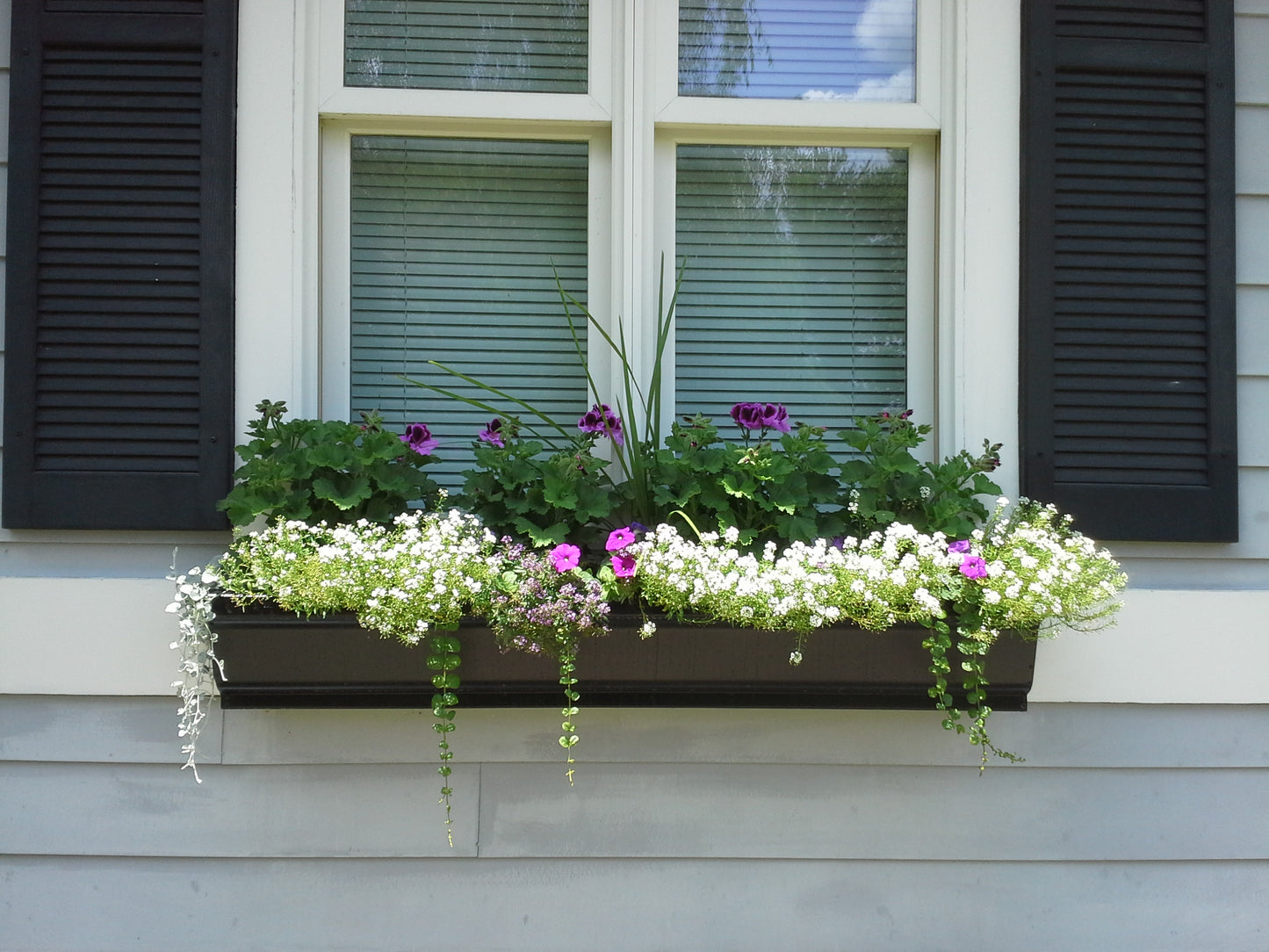 Window Boxes