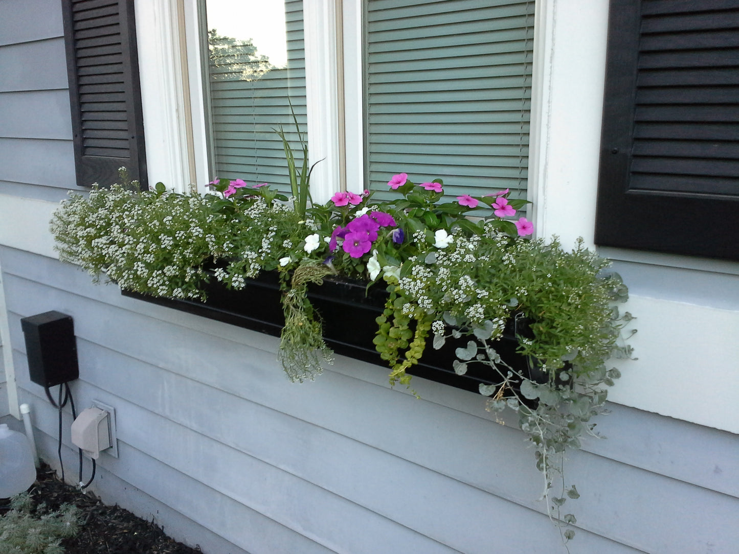 Window Boxes