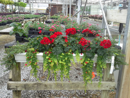 Deck and Balcony Planters