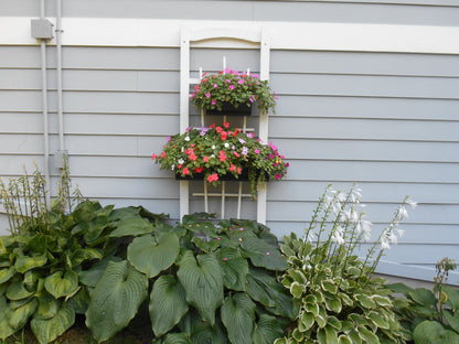 Window Boxes