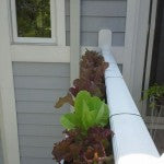 Deck and Balcony Planters