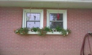 Window Box (custom made)