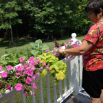 Deck and Balcony Planters